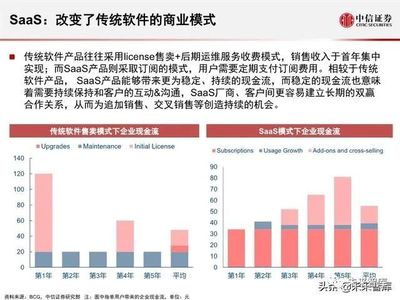 2020全球軟件SaaS云計算產業(yè)展望 軟件外包服務的轉型與機遇